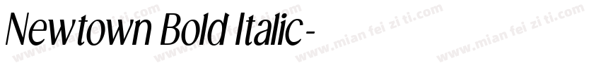 Newtown Bold Italic字体转换